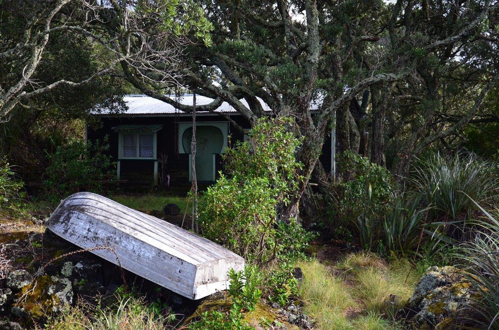 2017-03 New Zealand/Rangitoto/DSC_0105.JPG